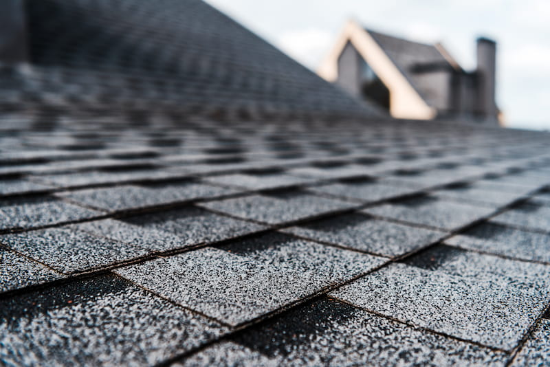 Four Signs You Need A Roof Cleaning