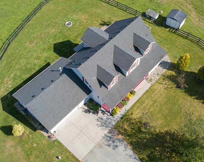 Roof cleaning