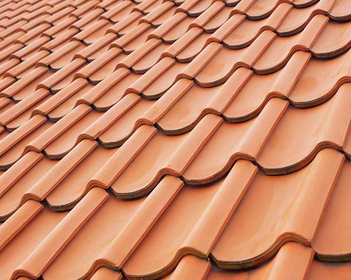 Roof Cleaning